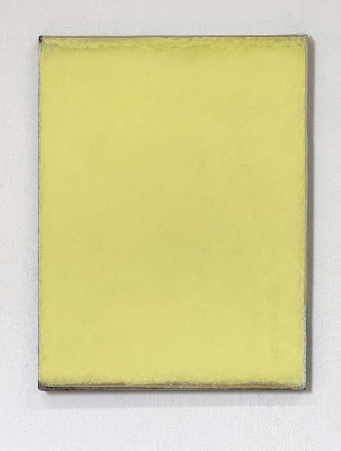 Jaromír Novotný - Péče o žlutou 